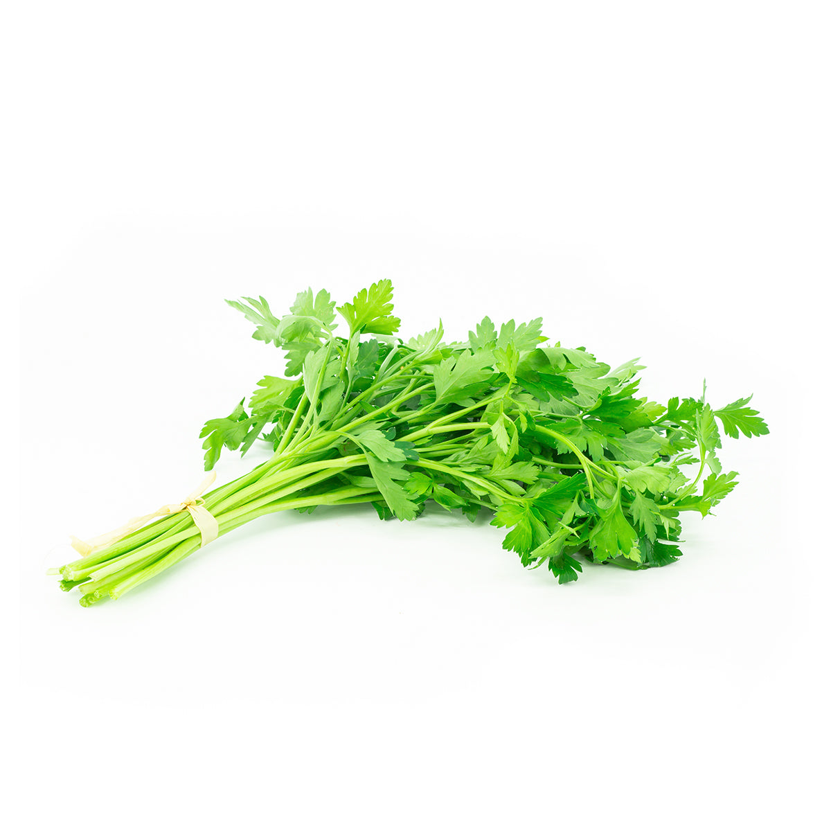Cilantro kg